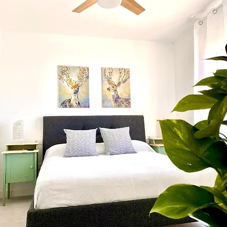 Apartamento Luz De Conil Aire Acondicionado Y Wifi -solo Familias Y Parejas- *